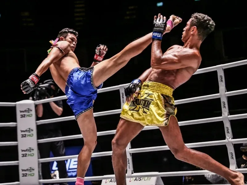 Các kỹ thuật đấm, đá, khuỷu, gối và clinch cơ bản trong Muay Thái
